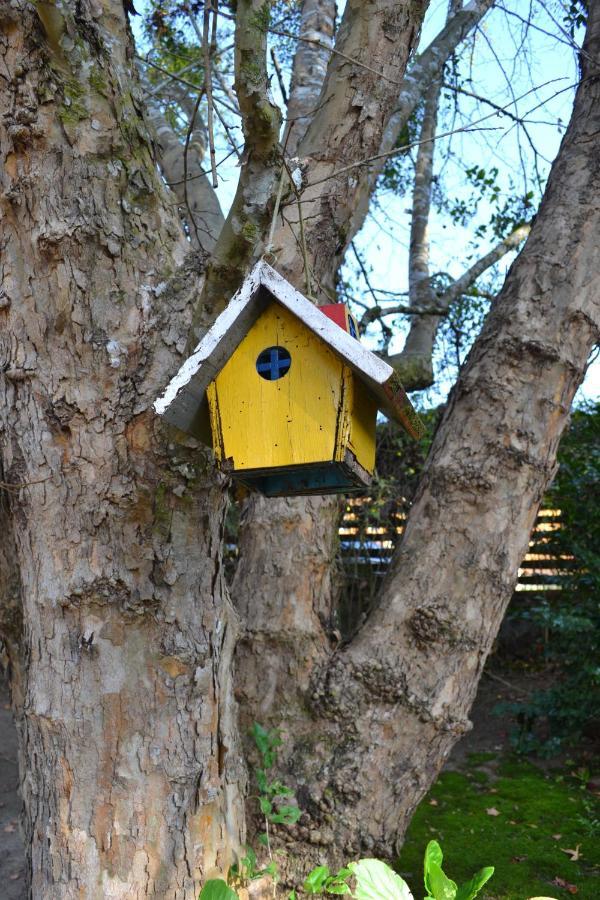 Casa Sirin Villa Campos do Jordão Kültér fotó